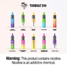 EVO 4500 Puffs 12ml Atomizer Original POD E-Cigarette